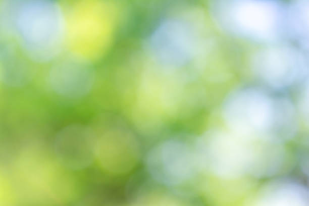 istock green and yellow summer bokeh 1179940418