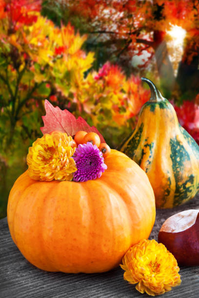 istock Autumn decorations with pumpkins on wooden table 1179940544