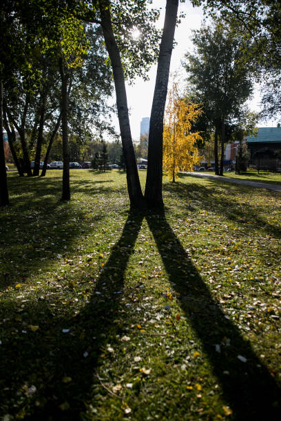 istock beautiful morning light in public park with green grass field 1179940979