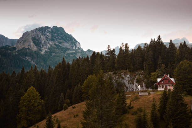 istock Mountain Landscape with cabin in Montenegro 1179941676