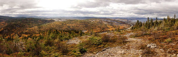 Yellow, Orange and Red trees in a forest during Autumn / Fall Season in Corner Brook, Newfoundland, Canada. stock photo