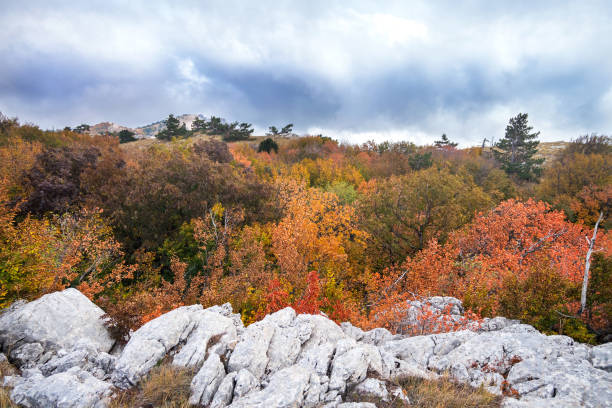 istock Autumn nature in the mountains 1179949802