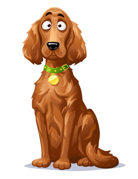 Cute Dog- Irish Setter Vector illustration of a cute dog, an Irish Setter with a beautiful long brown fur, looking at the camera, isolated on white. irish setter puppy stock illustrations