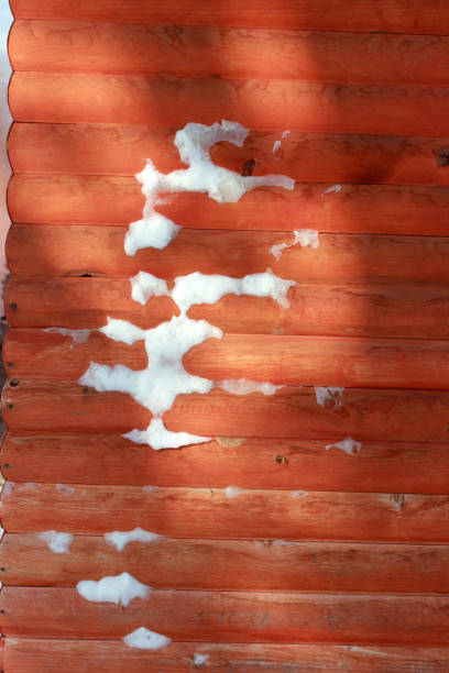 나무 로그 벽 텍스처 배경 - log log cabin wood knotted wood 뉴스 사진 이미지