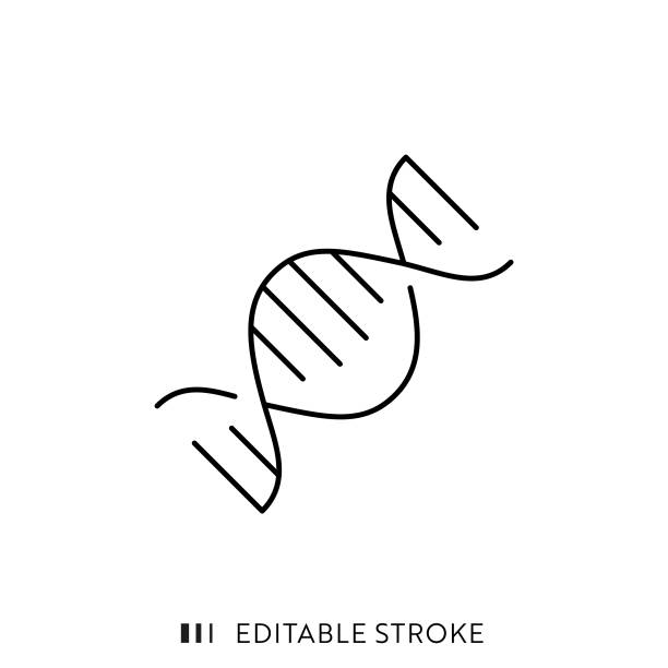 DNA Icon with Editable Stroke and Pixel Perfect. DNA Double Helix Icon with Editable Stroke and Pixel Perfect. laboratory technician icon stock illustrations
