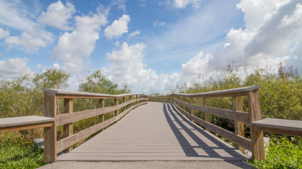 istock Everglades National Park 1179958293