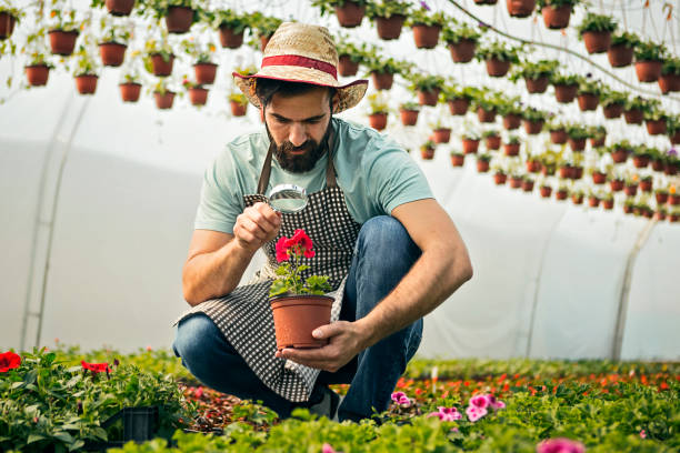 istock Male gardener with magnifying glass 1179962878
