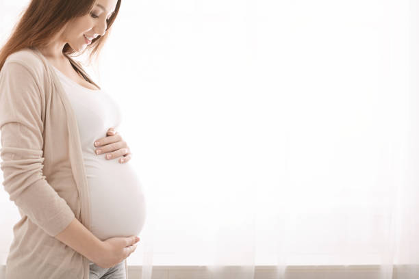 femme enceinte heureuse touchant son ventre près de la fenêtre - abdomen adult affectionate baby photos et images de collection