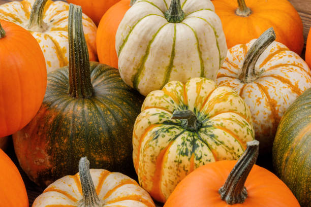 istock Assortiment of pumpkins background 1179964578