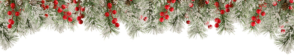 Spruce verde ramas de Navidad con nieve, bayas rojas y conos como marco o borde para el diseño de invierno aislado sobre fondo blanco photo