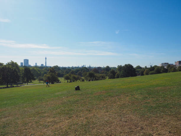 istock Primrose Hill in London 1179967849
