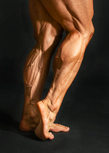 detalhe de músculos masculinos da vitela do pé da parte traseira do bodybuilder no fundo preto. gastrocnemius e soleus. - defined - fotografias e filmes do acervo