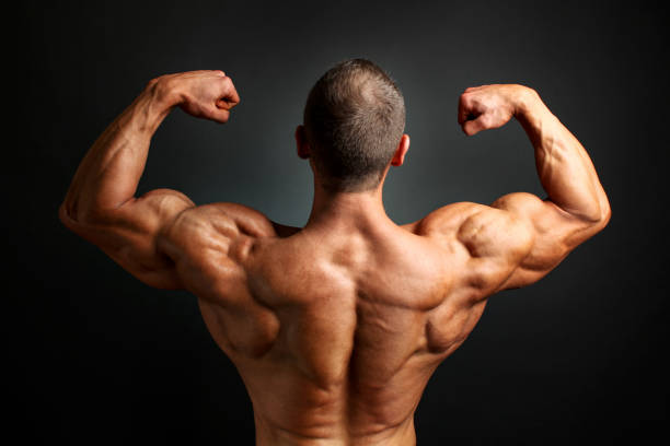 istock Young bodybuilder man flexing back double bicpes pose, showing his huge trapezius, rhomboid, levator and latissimus dorsi muscles. Studio shot on black background. 1179968460