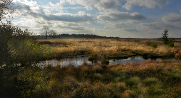 High Venn in the Eifel in Germany and Belgium