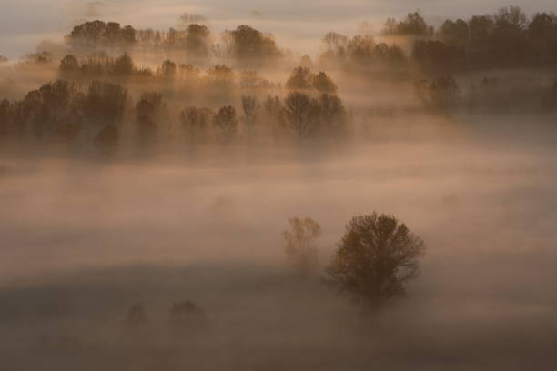 istock Sunrise over the misty forest 1179971766