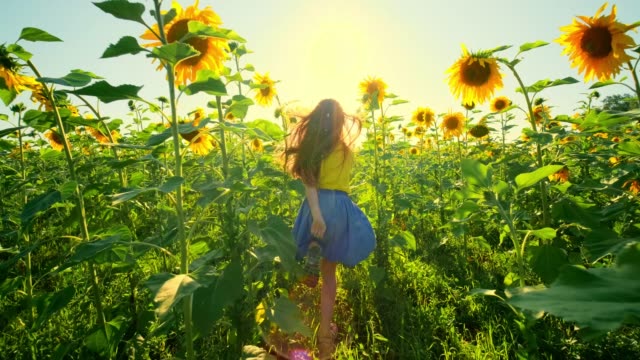 Girl runs on a field of sunflowers at sunset