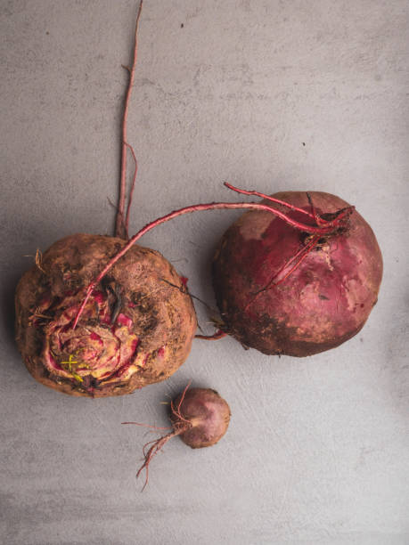 The purple Beets roots on grey concrete table