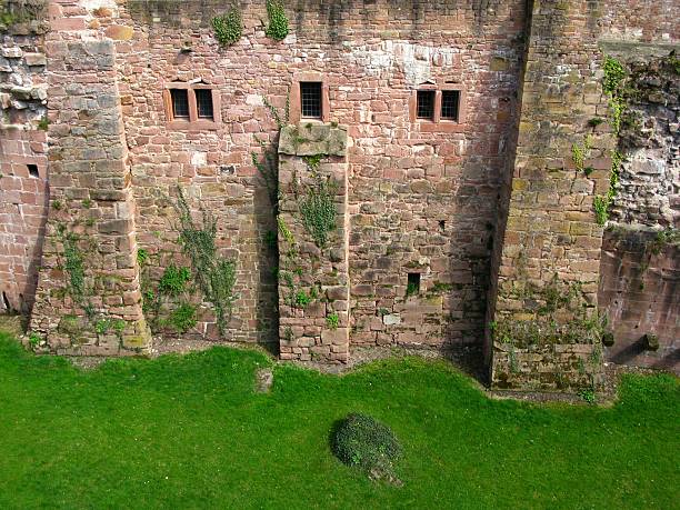 istock Ruins of castle Heidelberg 117997435