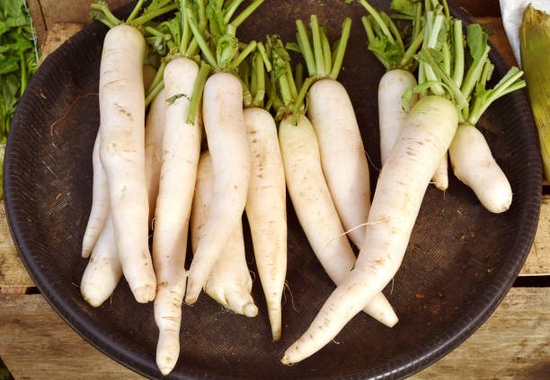 istock Fresh white radish daikon at traditional local market. 1179976624