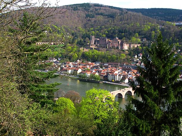 istock Heidelberg am Neckar 117997676