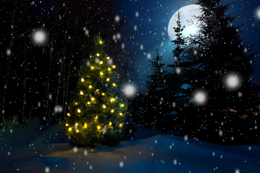 Illuminated Christmas tree under night sky.
