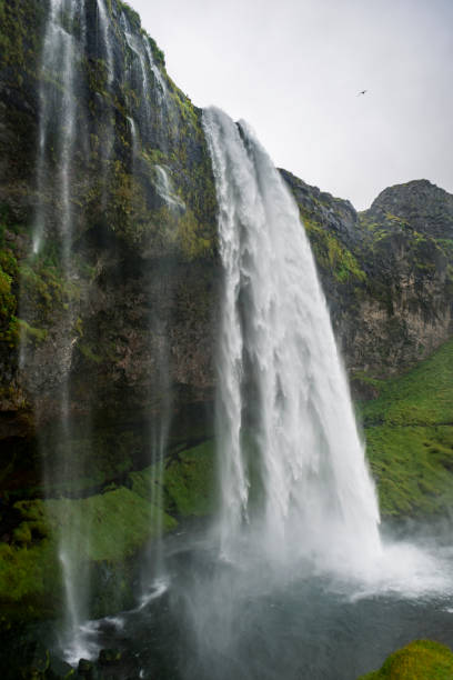 istock Seljalandsfoss Waterfall in Iceland on a cloudy and stormy day. 1179977222