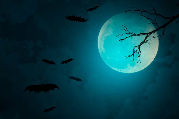 istock Full moon with blue Halloween night background 1179977528