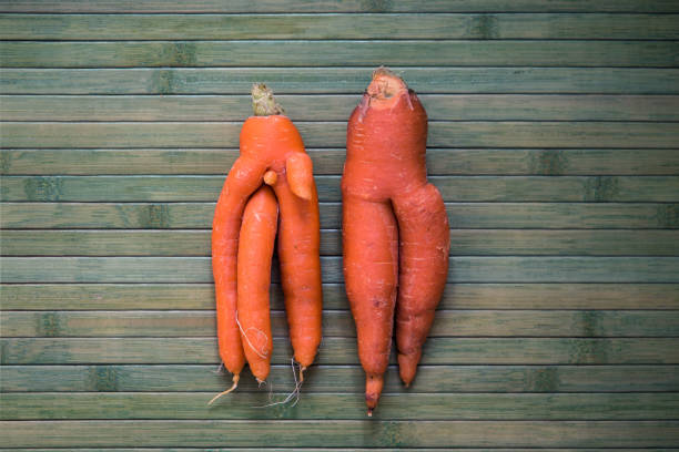 Two funny shaped bizarre carrots