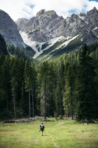 istock Mountains: a man is walking in the wood with a backpack 1179978448