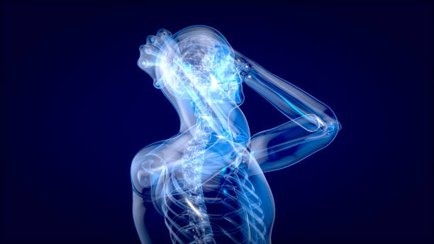 istock Human and brain xray, human anatomy, 3D Illustration 1179981176