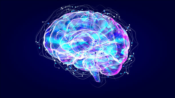 istock Brain xray, human anatomy, 3D Illustrated neurons 1179982974