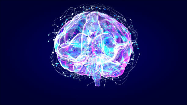 istock Brain xray, human anatomy, 3D Illustrated neurons 1179982991