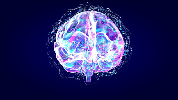 istock Brain xray, human anatomy, 3D Illustrated neurons 1179983008