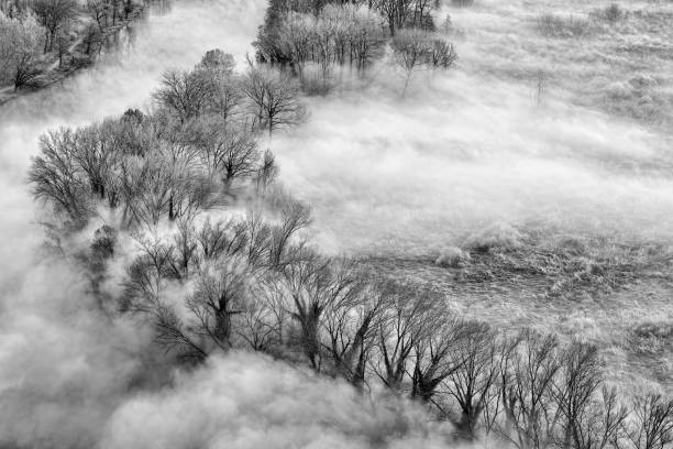 istock The foggy river at dawn 1179983125