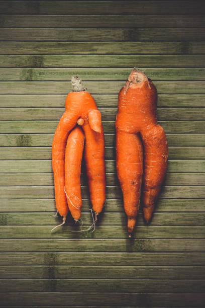 Two funny shaped bizarre carrots