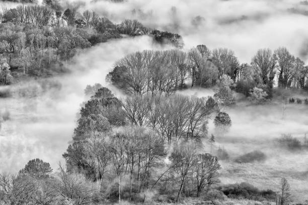 istock The foggy river at dawn 1179984963