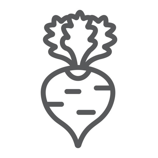 ilustraciones, imágenes clip art, dibujos animados e iconos de stock de icono de línea de rábano, frutas y verduras, signo de remolacha, gráficos vectoriales, un patrón lineal sobre un fondo blanco. - beet common beet isolated red