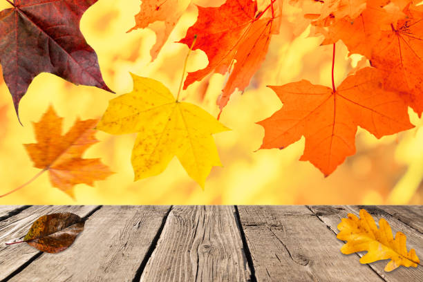istock Autumn sunny background. Empty rustic wooden table against colorful maple, oak leaves. 1179989130