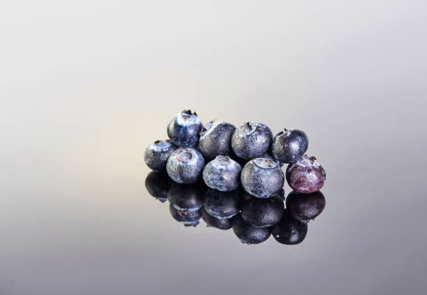 Fresh blueberries covered in drops on a gray white background