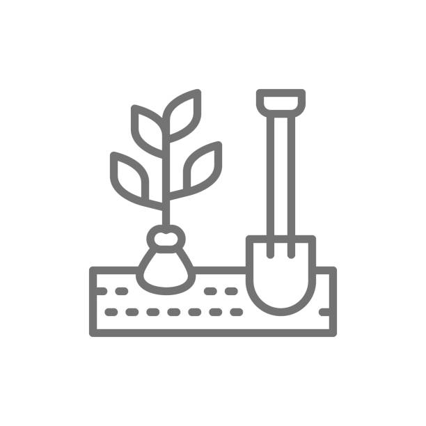 植物を掘る、植える木、シャベルラインアイコンで木。 - trowel vegetable garden gardening seed点のイラスト素材／クリップアート素材／マンガ素材／アイコン素材
