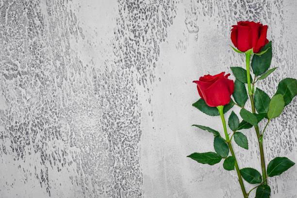 istock Red roses on a light textured background. Place for text, top view 1179990610