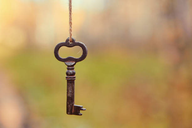 an old key hangs on a tree branch, against the background of a forest road. blurred background, space for text - garden key imagens e fotografias de stock