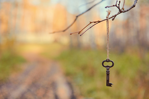 An old key hangs on a tree branch, against the background of a forest road. Blurred background, space for text.