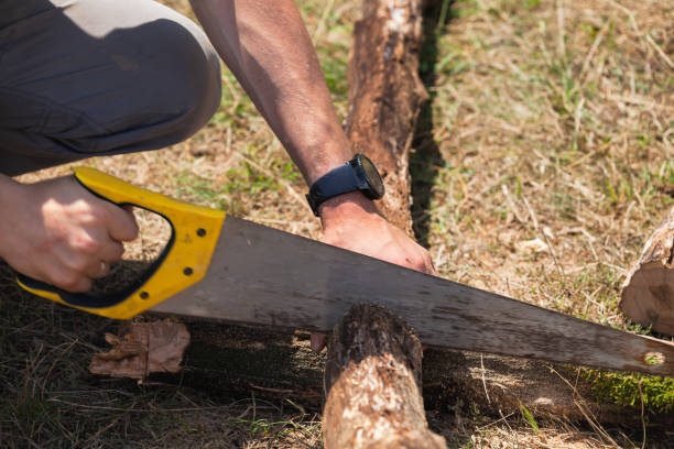 istock A man saws a tree with a hand saw 1179991100