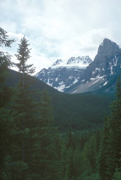 istock Landscape in British Columbia, Canada 1179992869