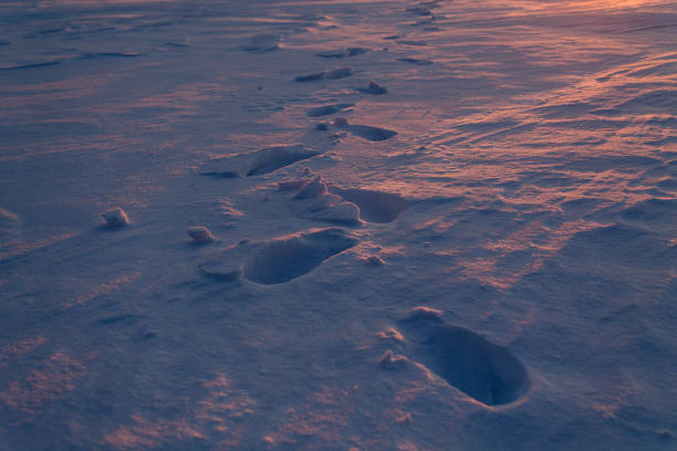 Footprints in the snow. Early dawn orange. Frozen lake
