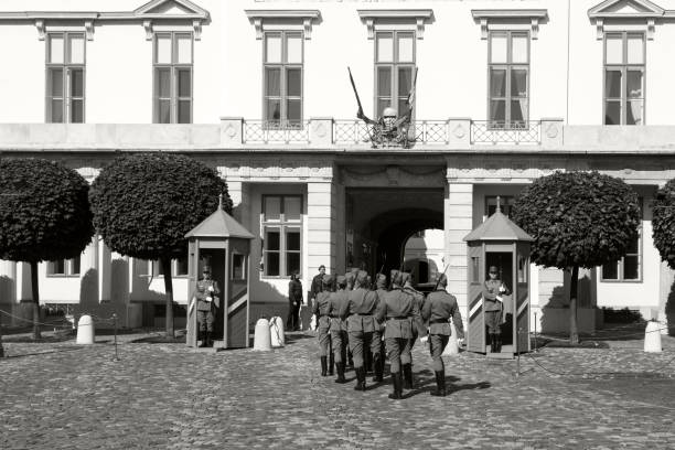 mudança da guarda no palácio de alexander-budapest - sandor palace - fotografias e filmes do acervo