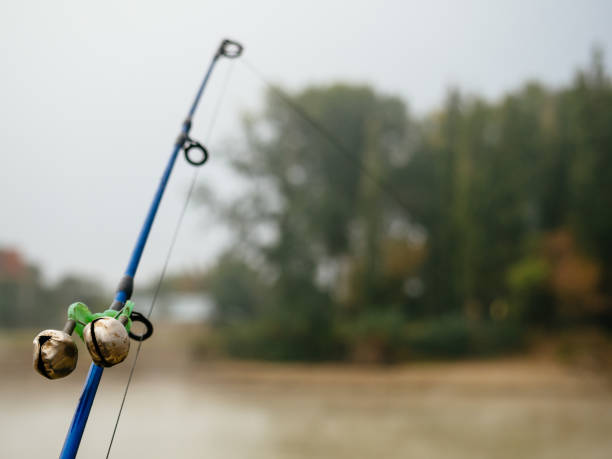 230+ Fishing Rod Bells Stock Photos, Pictures & Royalty-Free Images - iStock