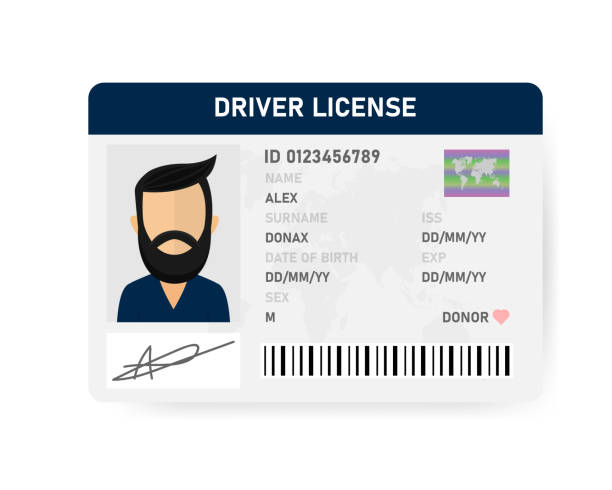 Realistic driver license of men on white background. Vector illustration. Realistic driver license of men on white background. Vector illustration. driving licence stock illustrations