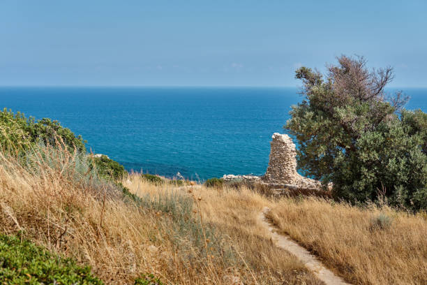 ruins of sanctuary of apollo hylates located at the beach of mediterranean sea. near an ancient greek town of kourion. limassol, episkopi, cyprus - sanctuary of apollo international landmark sunny sunlight imagens e fotografias de stock